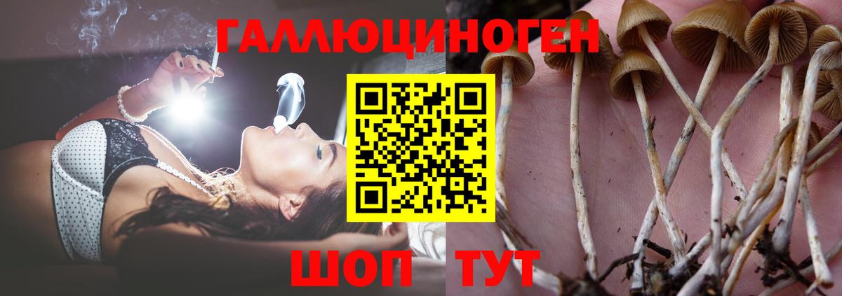 Псилоцибиновые грибы мицелий  Вход с VPN  Павловский Посад 